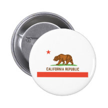 California State Flag Pin
