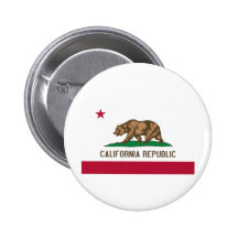 California State Flag Pin