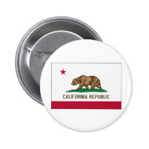 California State Flag Pin