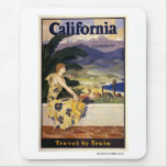 California this summer. Travel by Train  mousepads