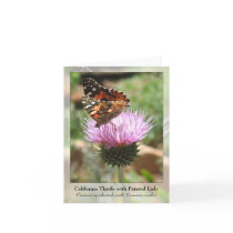 California Thistle with Painted Lady - Notecard