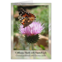 California Thistle with Painted Lady - Notecard