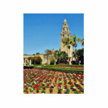 California Tower In Balboa Park Photo Cutouts