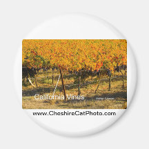 California Vines (4698) California Products Refrigerator Magnet