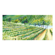 California Vineyard Photo Card