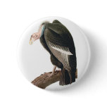 California Vulture (California Condor), Audubon Pinback Buttons