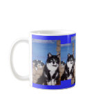 caligula portrait with caligula cat mugs