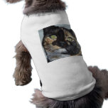 Cali's Stare Tortie Tortoiseshell Cat Painting Art pet clothing