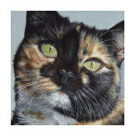 Cali's Stare Tortie Tortoiseshell Cat Painting Art t-shirts