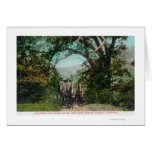 Calistoga and Geyser Stagecoach on Foss Road cards