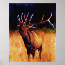 Call Of The Wild, Fine Art Prints
