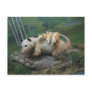 Call of the Wild Museum Opossum Postcard