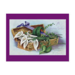 Calla Lilies for Easter postcards
