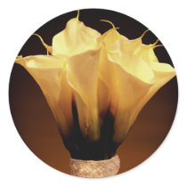 Calla lilies.... round stickers
