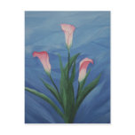 "Calla Lillies" Postcard