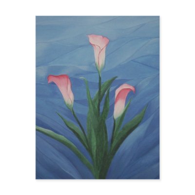 "Calla Lillies" Postcard by kghill
