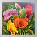 Calla Lillies Poster posters