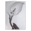 Calla Lilly cards