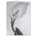 Calla Lilly cards