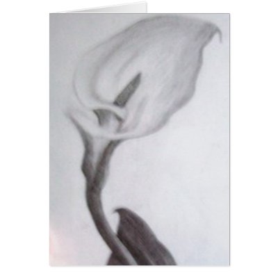 Calla Lilly Cards by harmonyart