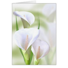 Calla Lilly Card
