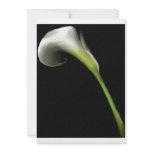 Calla Lilly Invitations (add  your own text)