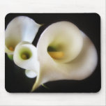 Calla Lily 5 mousepads