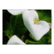 Calla Lily 9 Watercolor Card