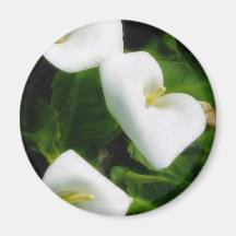Calla Lily 9 Watercolor Magnets