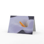 Calla Lily Blank Greeting Cards
