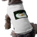 Calla Lily dog shirt