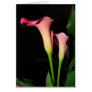 Calla Lily Flowers Card