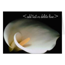 Calla Lily Greeting Card