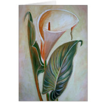 Calla Lily Greeting Card
