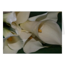 Calla Lily Greeting Cards