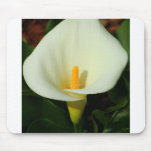 Calla Lily mousepads