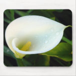 Calla Lily mousepads