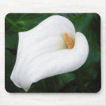 Calla Lily Mousepad