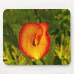 Calla Lily mousepads