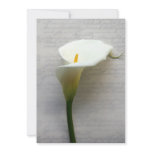 calla lily on old handwriting invitation