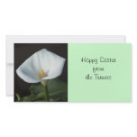 Calla Lily photo cards