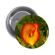 Calla Lily Pinback Buttons