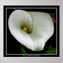 "Calla Lily" Print
