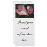 Calla Lily Rack Cards