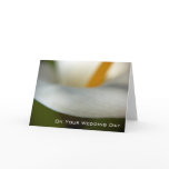 Calla Lily | Wedding Congratulation cards