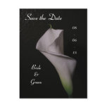Calla Lily Wedding Save the Date postcards