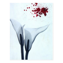 Calla Lily X-ray Postcards