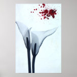 Calla Lily X-ray Posters