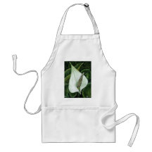 calla palustris aprons
