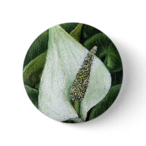 calla palustris pinback button